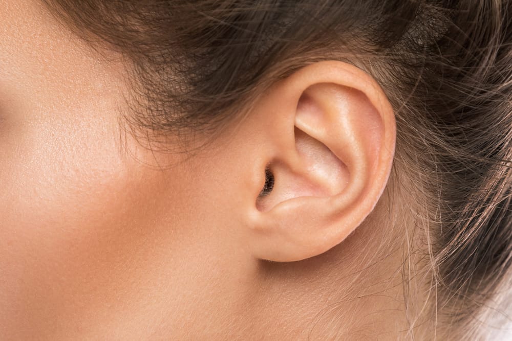 Kom igen, lär känna delarna av örat och deras funktioner för att hålla sig frisk!