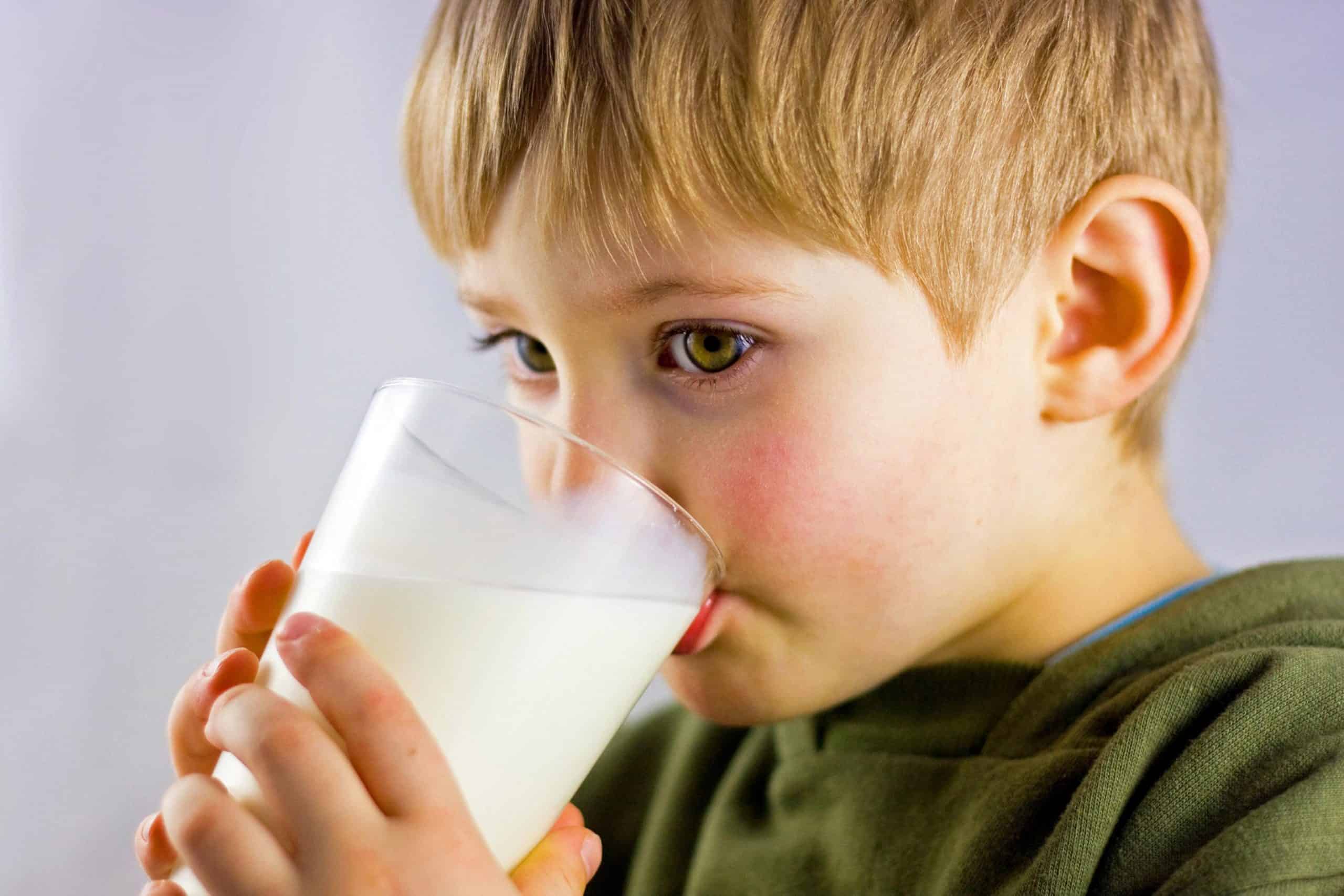 체중 증가 우유가 체중 증가에 효과적입니까? 자, 설명을 참조하십시오