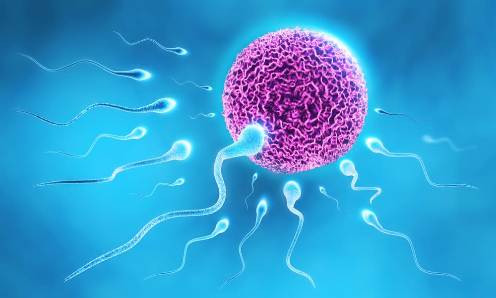 Cauzele pentru care spermatozoizii nu întâlnesc ovule și cum să-l depășești