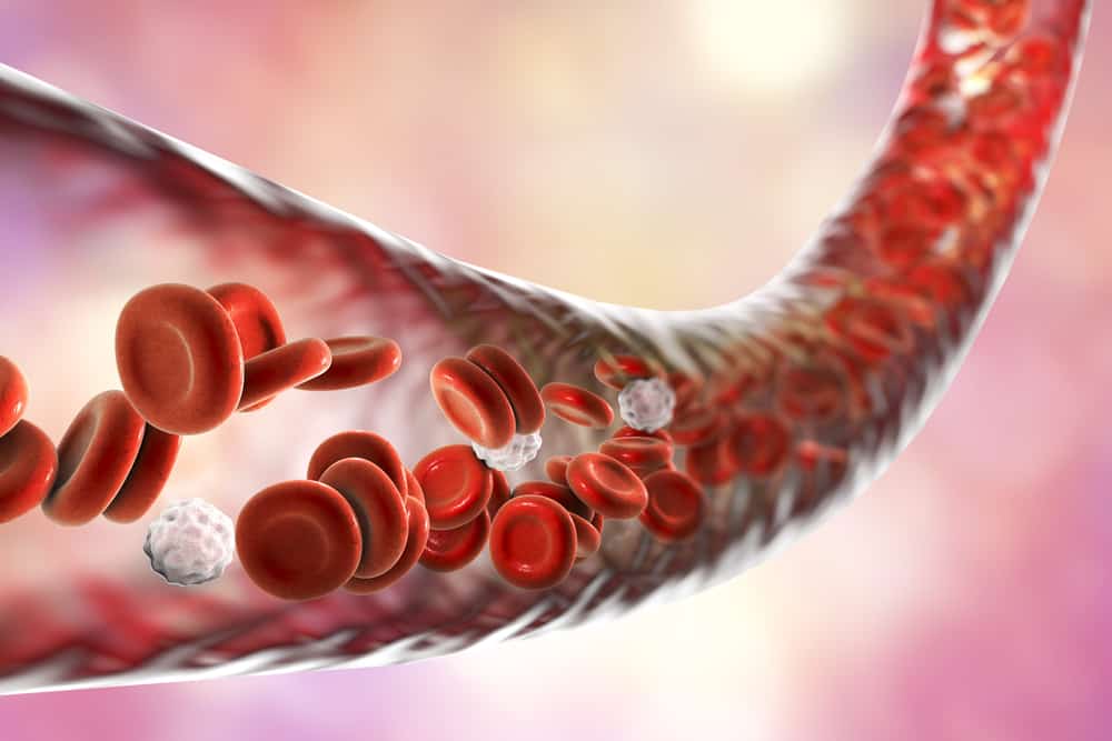 Constriction des vaisseaux sanguins
