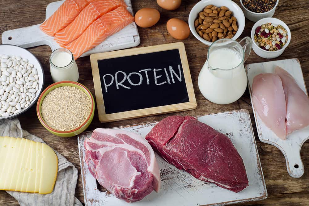 Läckra och hälsosamma, dessa 7 livsmedel innehåller högt protein