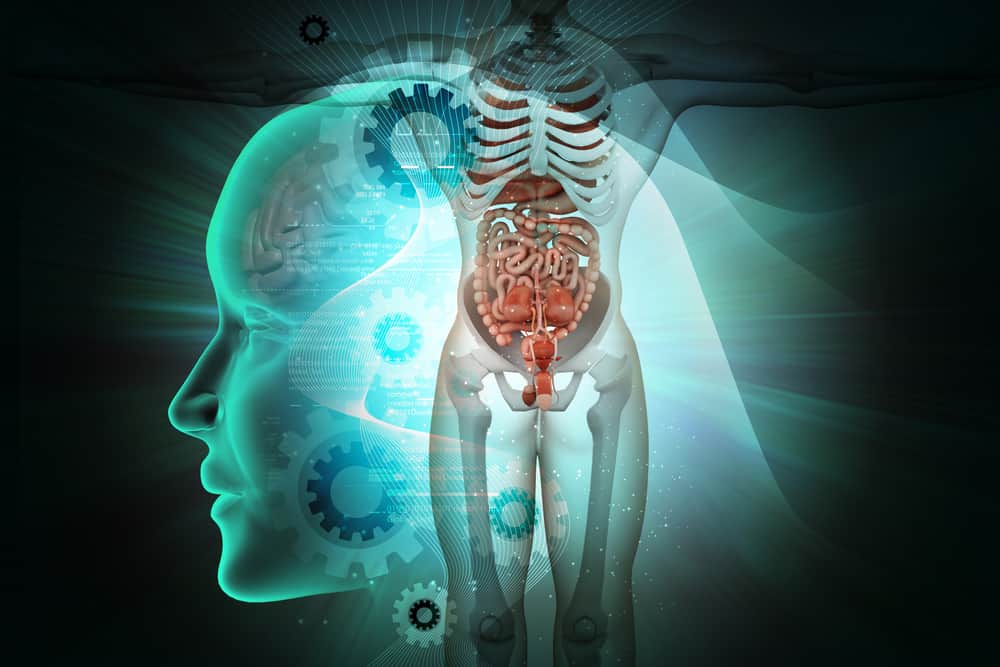 Poznaj 12 anatomicznych części ludzkiego ciała i ich funkcje