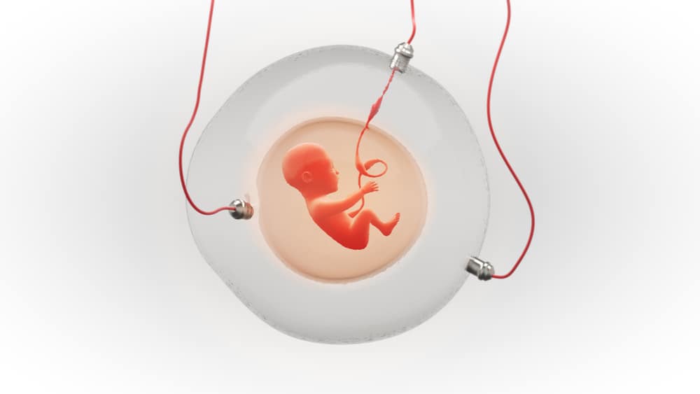 Prepoznajte uzroke niskog otkucaja srca djeteta u ranoj trudnoći
