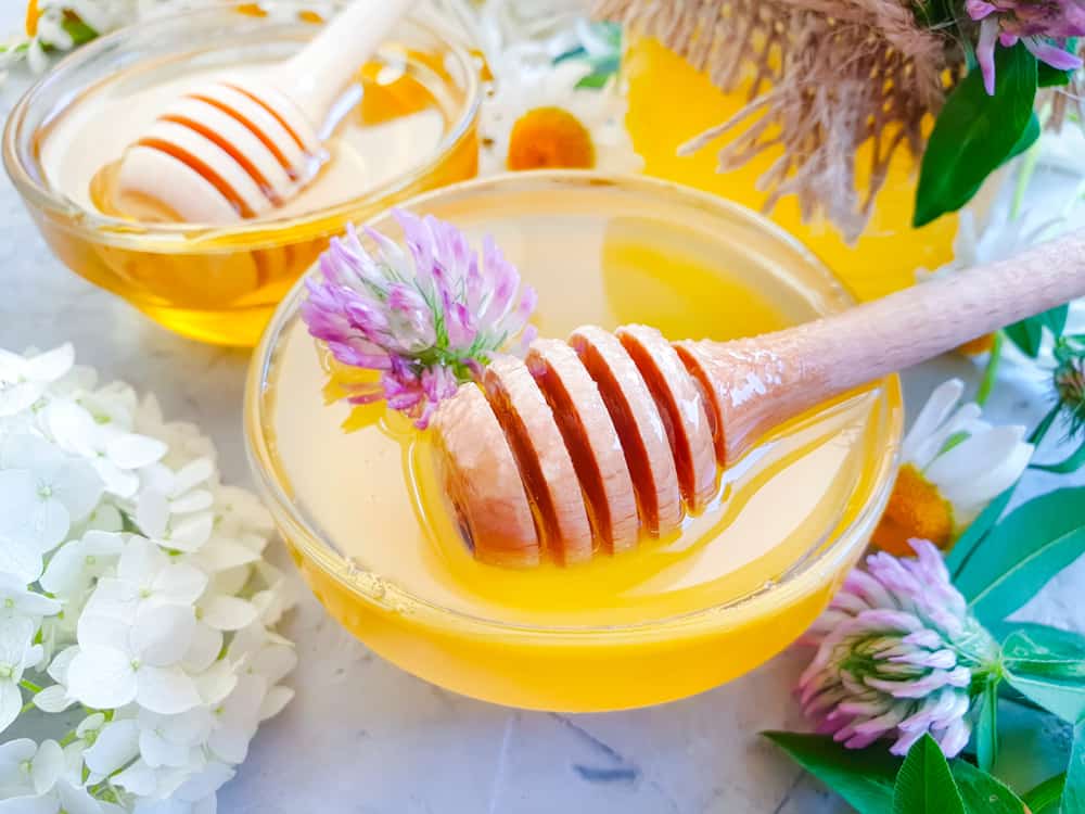 달콤할 뿐만 아니라 신체 건강을 위한 클로버 꿀의 5가지 이점이 있습니다.