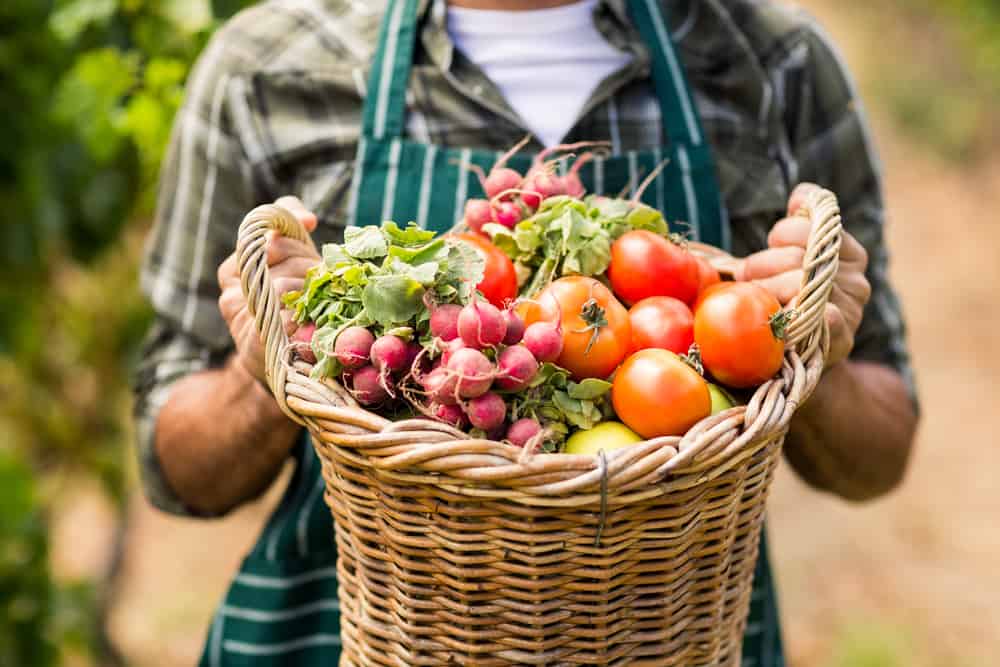 유기농 야채가 비유기농 야채보다 더 건강합니까?