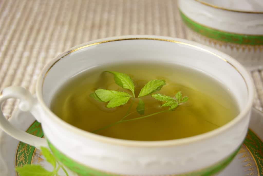 Його часто називають чудодійним напоєм. Ось переваги вживання чаю Цзяогулан для організму!