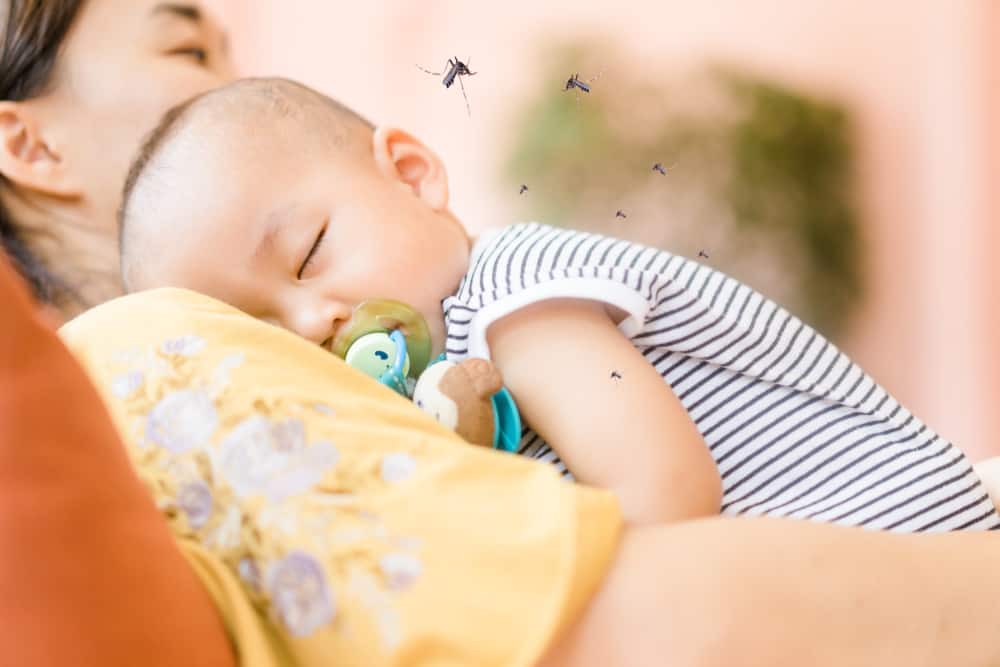 Nie lekceważ tego, natychmiast sprawdź swoje dziecko, jeśli wystąpią takie objawy gorączki denga