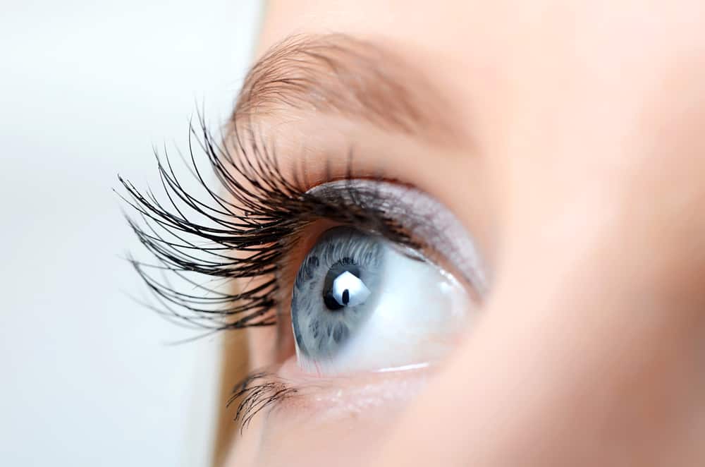 Дізнайтеся більше, дізнайтеся частини ока та їх функції!