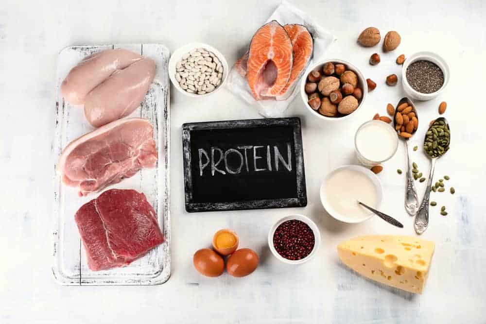 영양섭취를 유지하기 위해 우리 몸에 필요한 단백질의 8가지 기능을 알아보자!