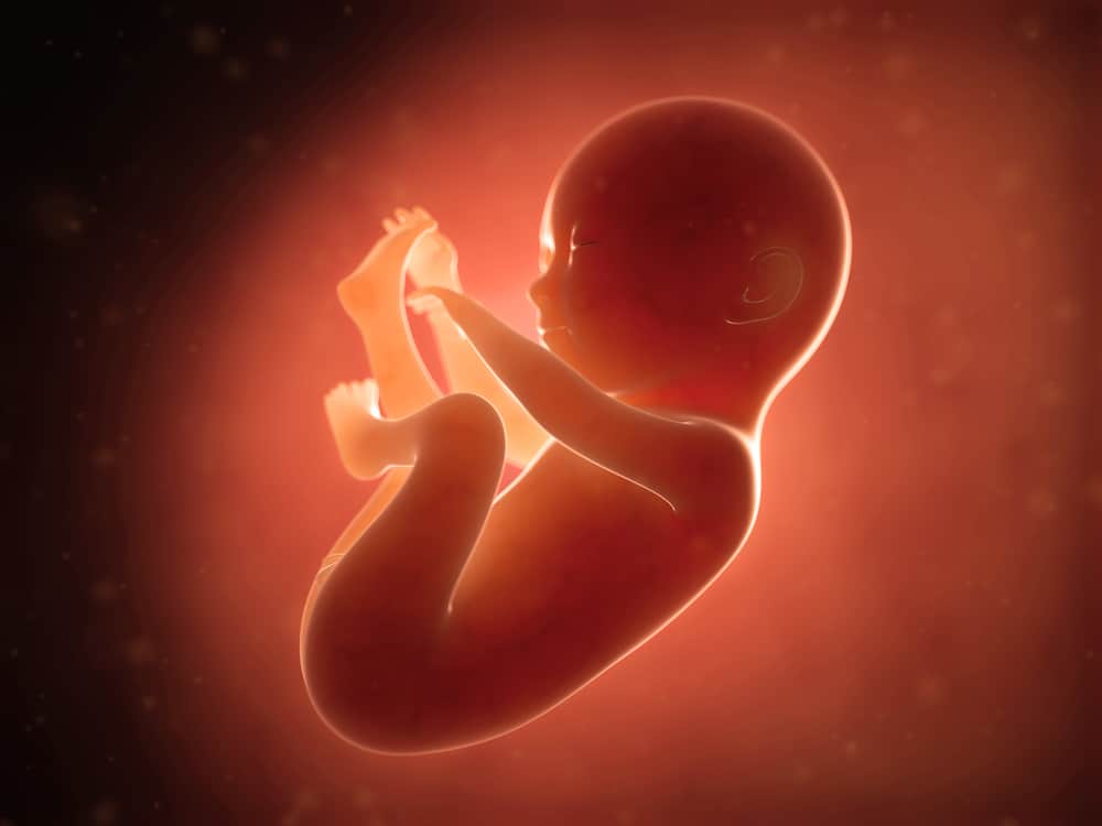 Ne zaboravite biti pozvani na razgovor, ovo je razvoj 6-mjesečnog fetusa zbog kojeg ga mame još više vole
